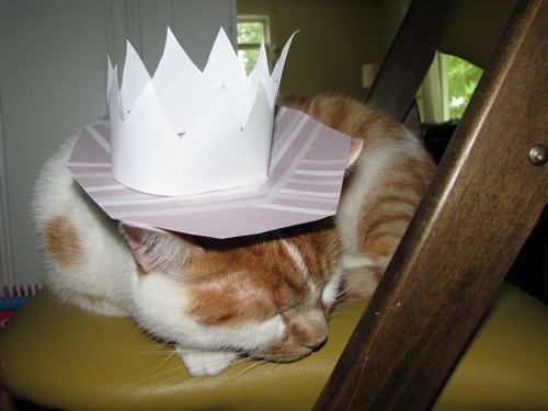 paper hat worn by cat