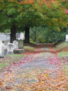 autumn road into the old cemetery