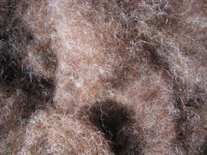 light brown spinning/felting fiber, unknown breed of wool