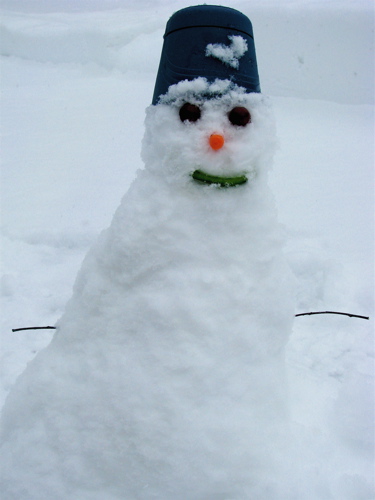 snowman with grape eyes, carrot nose and green pepper mouth