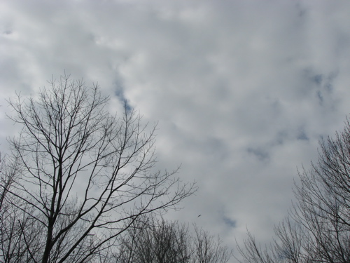 overcast winter sky