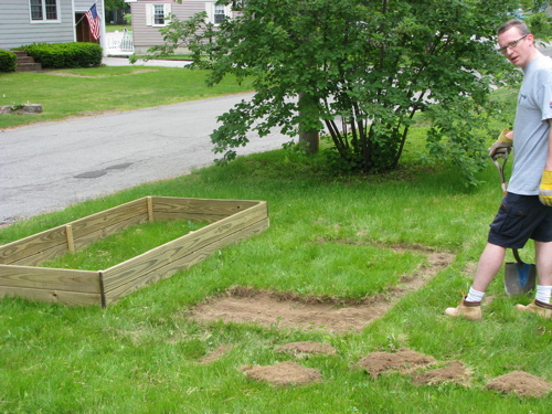 digging up sod for a raised garden bed