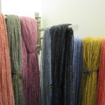 skeins of wool yarn drying