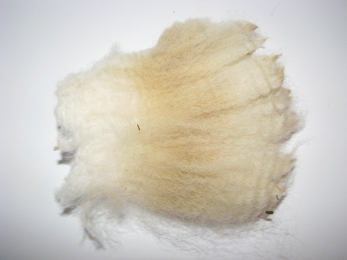 lock of raw alpaca fiber unwashed