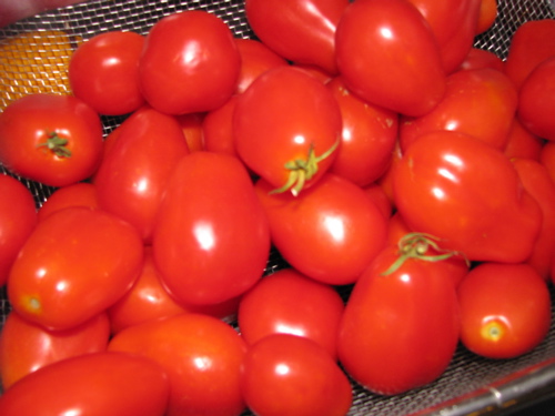 home grown roma tomatoes