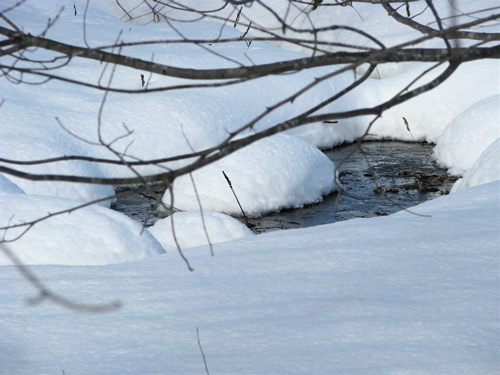 small stream in the snow