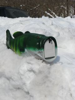 fish mailbox in the snowbank