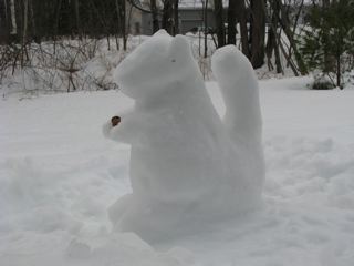 snow squirrel