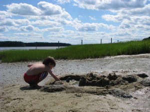 building sandcastles at low tide