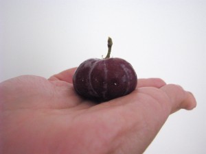 pumpkin shaped grape