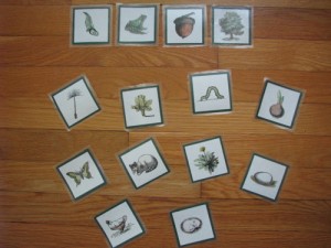 random-charm's cut-and-color matching game, young and adult animals and plants
