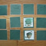 random-charm's cut-and-color matching game, young and adult animals and plants